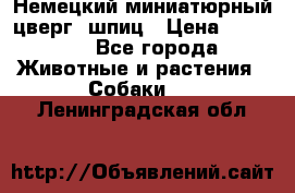 Немецкий миниатюрный(цверг) шпиц › Цена ­ 50 000 - Все города Животные и растения » Собаки   . Ленинградская обл.